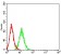 BTLA Primary Antibody MP31465 [M7H3E3]