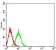 CD8A Primary Antibody MP31466 [M6A9A5]