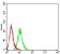 TNFRSF11A Primary Antibody MP31473 [M8H8B2]