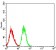 LILRB2 Primary Antibody MP31475 [M2G7E11]