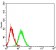TNFRSF6B Primary Antibody MP31476 [M3C5H10]