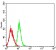 CCL4 Primary Antibody MP31477 [M7C9E4]