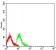CD109 Primary Antibody MP31484 [M5E11A12]