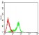 TIM3 Primary Antibody MP31486  [M2A7A6]