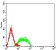 CD106 Primary Antibody MP31489 [M6A11C3]