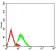 CD106 Primary Antibody MP31490 [M6A11D8]