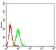 LILRA3 Primary Antibody MP31491 [M6F12D7]