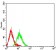 CD49C Primary Antibody MP31492 [M5F1D4]
