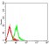 CD49C Primary Antibody MP31493 [M7H2A11]