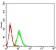 CD46 Primary AntibodyMP31495 [M1A5A5]