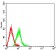 CD46Primary Antibody MP31496 [M5A8C11]