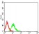 TNFRSF19  Primary Antibody  MP31499 [M6F5D3]
