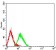 CD42A  Primary Antibody MP31500 [M4E2G7]