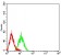 LRP3  Primary Antibody MP31501 [M7B3A5E9]