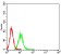 CD87 Primary Antibody MP31502 [M1D1B11]