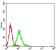 CEACAM5 Primary Antibody MP31505 [M3B9C9]