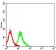 TNFRSF12A Primary Antibody MP31507  [M5C9B4]
