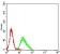 LILRA2 Primary Antibody MP31508 [M2G5E12]