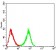 CD367 Primary Antibody MP31509  [M1B4A10]