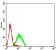 CD96 Primary Antibody MP31510 [M5E6C12]