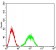 CD352  Primary Antibody MP31513 [M2F1C9]