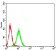 TIGIT Primary Antibody  MP31514 [M4C5B9]