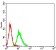CD360 Primary Antibody MP31517 [M8H10G4D12]
