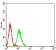 PSG1 Primary Antibody MP31521 [M5C6G7]