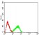 GITR Primary Antibody MP31522  [M6H8B9]