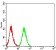 CD72 Primary Antibody MP31524  [M4G4B1]