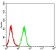 CD11a Primary Antibody MP31525  [M5G7C5]