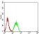 BTN1A1 Primary Antibody  MP31526  [M4B11B3]