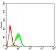 BTN1A1 Primary Antibody MP31527 [M5B12B9]