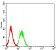 CD202B Primary Antibody MP31528 [M3F5B9]