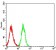 CD49D Primary Antibody MP31529  [M7E4C5]