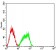 BCL10 Primary Antibody MP31535 [M3C11F4]