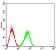 CD354 Primary Antibody  MP31537 [M6B12D1]