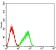 CD351 Primary Antibody MP31538  [M5B1D12E1]