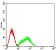 CLL1 Primary Antibody  MP31539 [M6B3G8]
