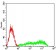 CLL1 Primary Antibody MP31540   [M4D5A8]