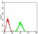 CD204 Primary Antibody  MP31541  [M5B8H4]