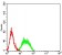CD352 Primary Antibody MP31547 [M2F1B4G9]