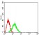 IL10RB Primary Antibody  MP31549 [M5B3F2]