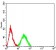 CD339 Primary Antibody MP31550  [M7C7E1]