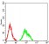 CD120B Primary Antibody MP31555 [M7G8B6]