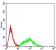 CD141 Primary Antibody MP31556 [M2C6C3]