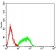 PTPRF Primary Antibody MP31557  [M6D7C7]