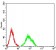 CD182 Primary Antibody MP31560  [M7E9H12]