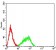 CD182 Primary Antibody MP31561 [M5F7A11]