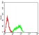 LRP8 Primary Antibody MP31562 [M7G12E2]